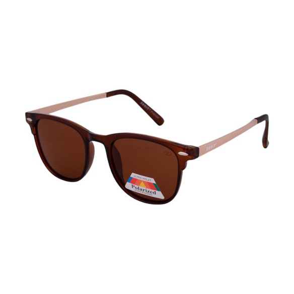 Lentes de Sol Wayfarer