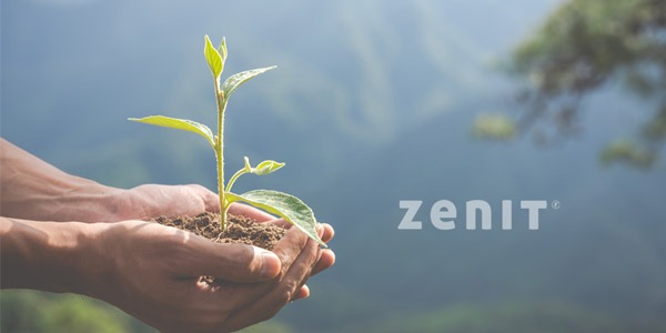 🌍 Día Mundial del Medio Ambiente: Viaja con Conciencia, Viaja con Zenit ♻️